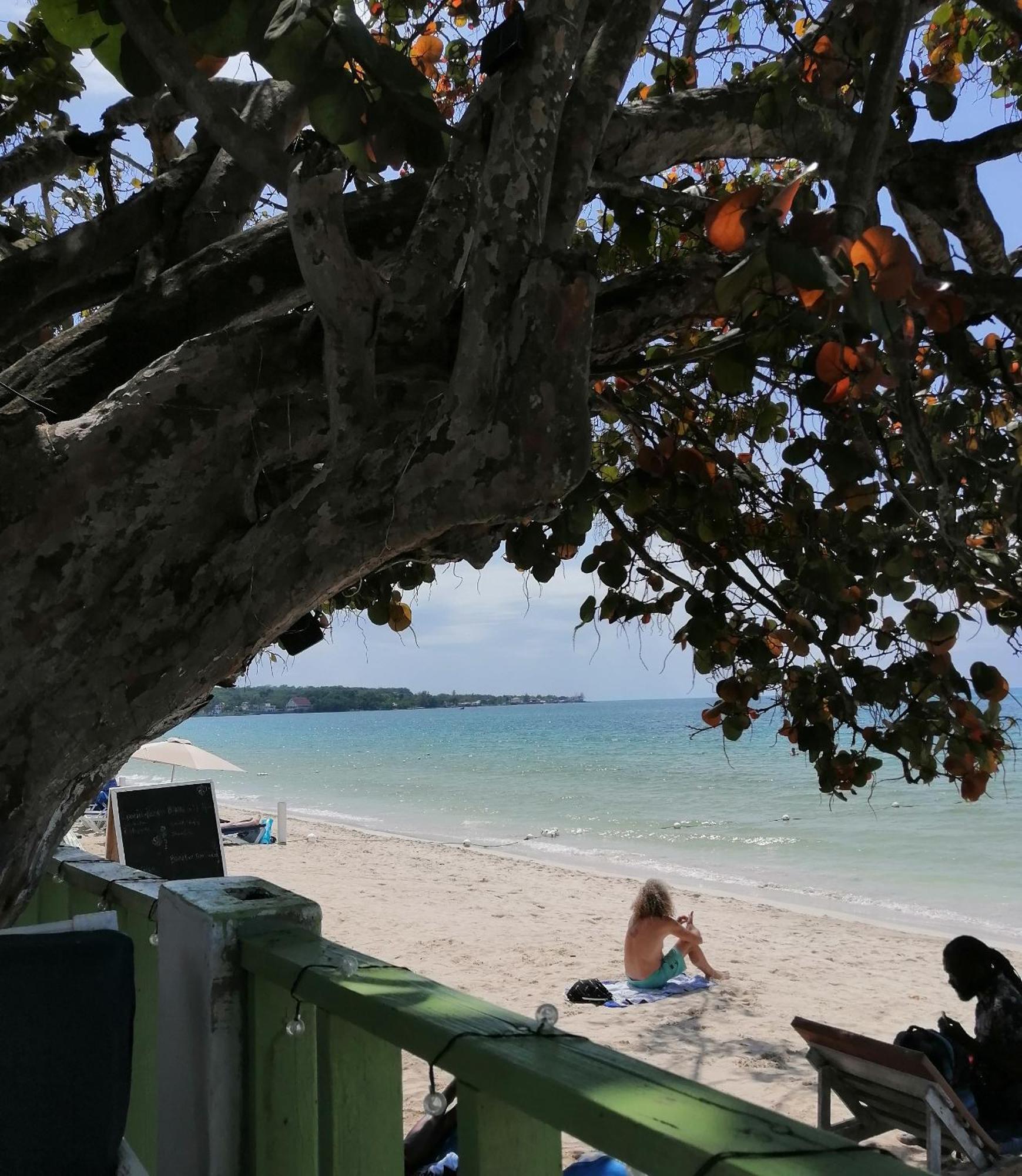 Hotel Yoga Dreams Negril Exterior foto